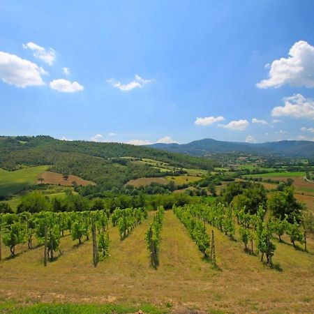 Holiday Home Montebello By Interhome Monterchi Exterior photo